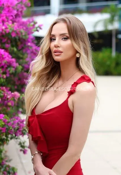 Canberra escorts Violante — 4